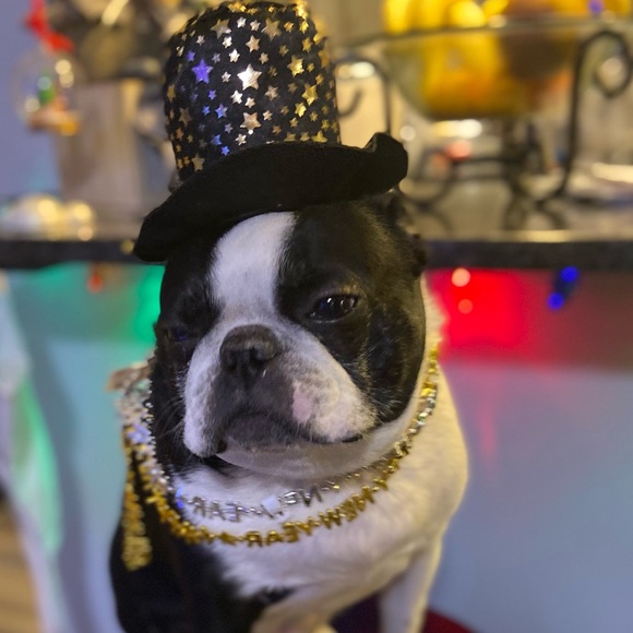 Meet your Posher, and her best friend! - Picture 6 of 6